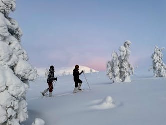 Sneeuwschoentocht in Pallas fells nationaal park vanuit Levi